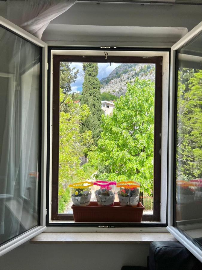 Apartment Kiki Kotor Eksteriør bilde